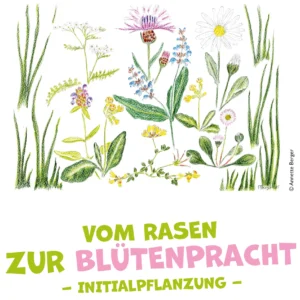 Vom Rasen zur Blütenpracht - Initialpflanzung
