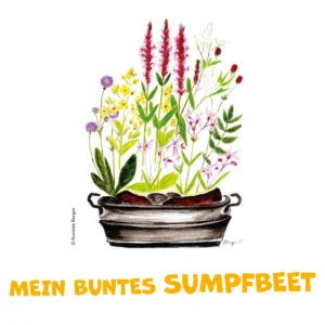 Mein buntes Sumpfbeet
