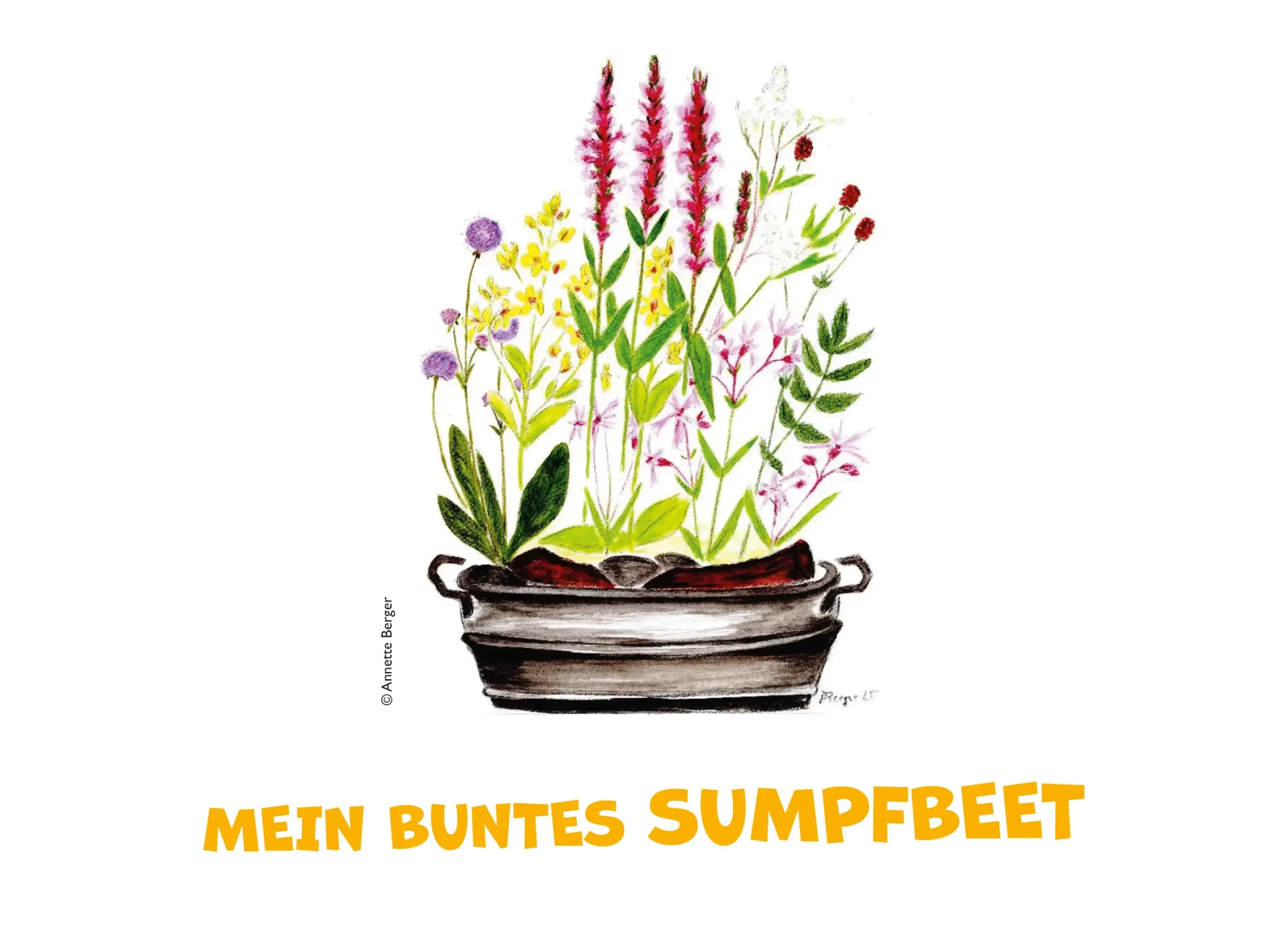 Mein buntes Sumpfbeet