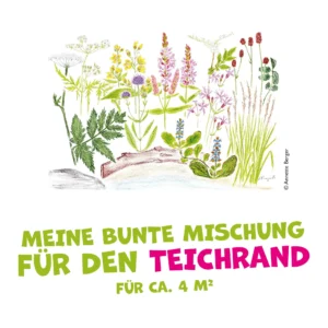 Meine bunte Mischung für den Teichrand für ca. 4 m²